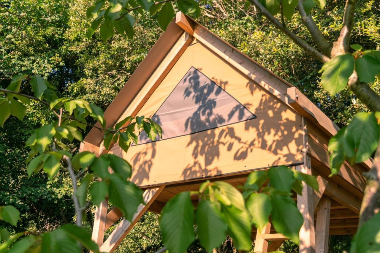 Agricamping La Gallinella Castagneto Carducci Zewnętrze zdjęcie